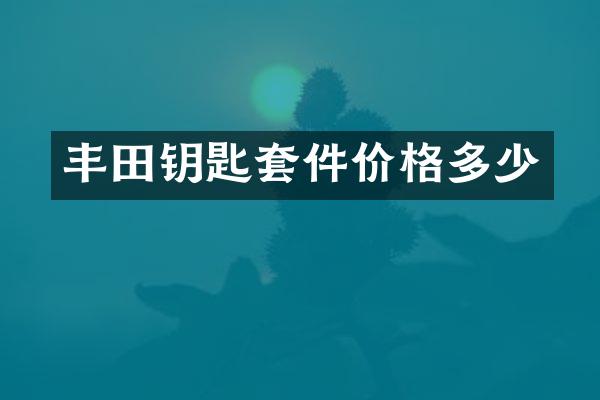 丰田钥匙套件价格多少