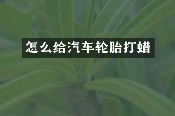 怎么给汽车轮胎打蜡