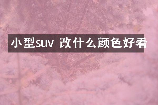 小型suv 改什么颜色好看
