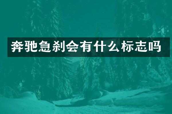 奔驰急刹会有什么标志吗
