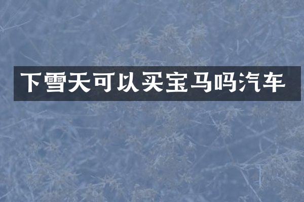 下雪天可以买宝马吗汽车