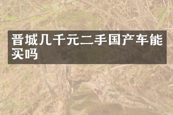 晋城几千元二手国产车能买吗