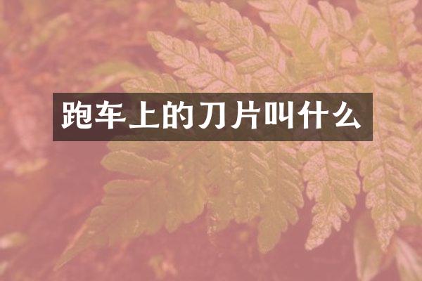 跑车上的刀片叫什么