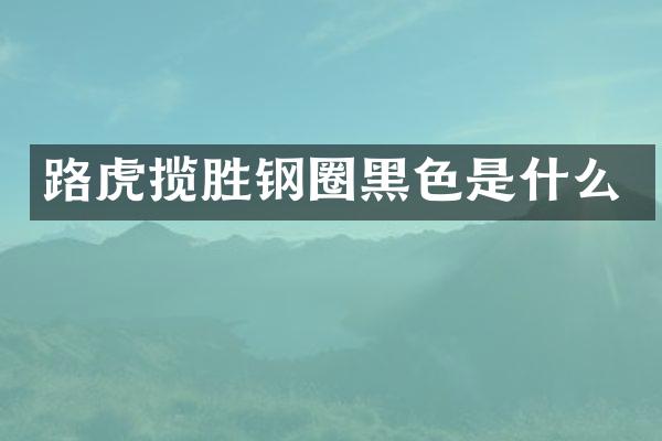 路虎揽胜钢圈黑色是什么