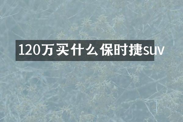 120万买什么保时捷suv