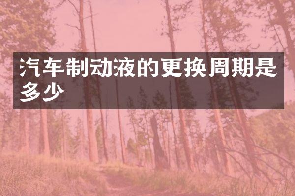 汽车制动液的更换周期是多少