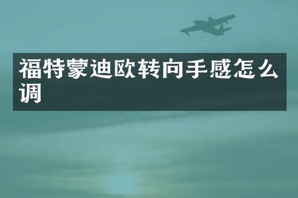 福特蒙迪欧转向手感怎么调