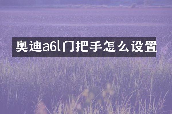 奥迪a6l门把手怎么设置