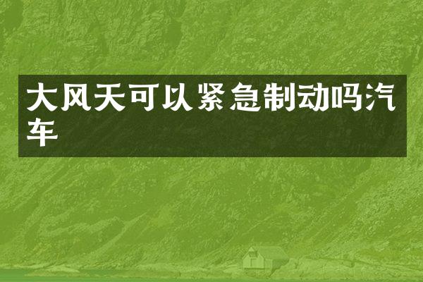 大风天可以紧急制动吗汽车