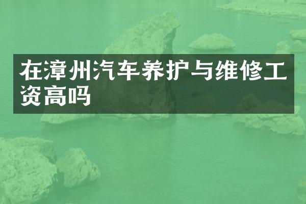 在漳州汽车养护与维修工资高吗