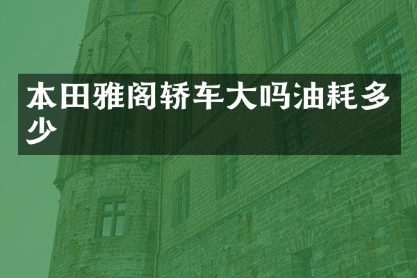 本田雅阁轿车大吗油耗多少