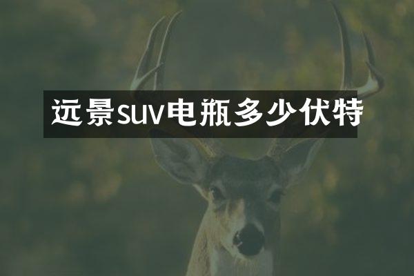 远景suv电瓶多少伏特