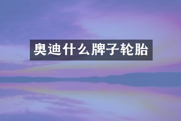 奥迪什么牌子轮胎