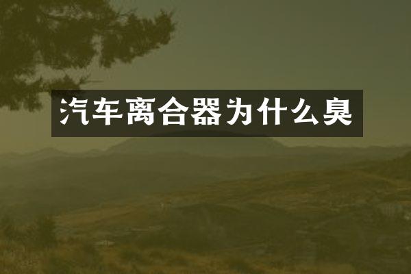 汽车离合器为什么臭