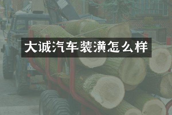 大诚汽车装潢怎么样