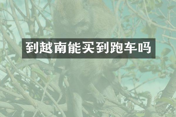 到越南能买到跑车吗