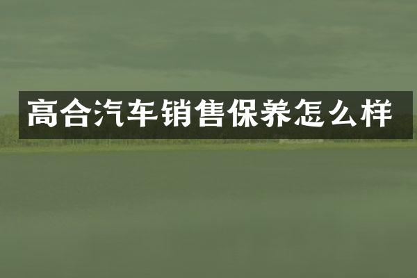 高合汽车销售保养怎么样