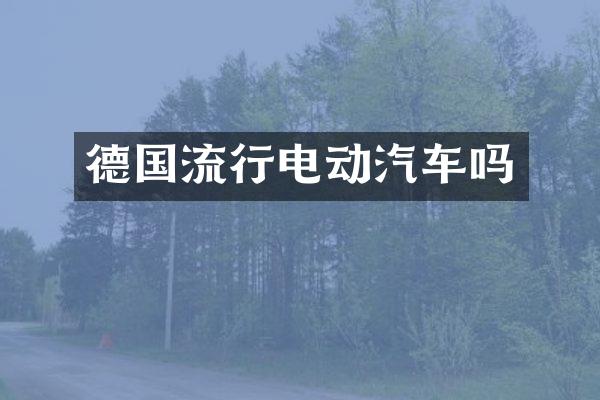德国流行电动汽车吗