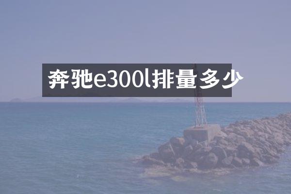 奔驰e300l排量多少
