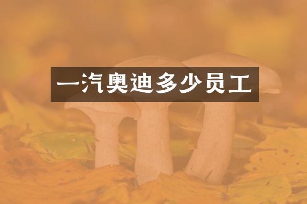 一汽奥迪多少员工