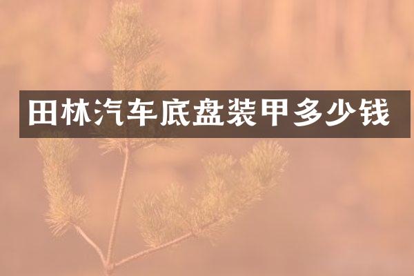 田林汽车底盘装甲多少钱