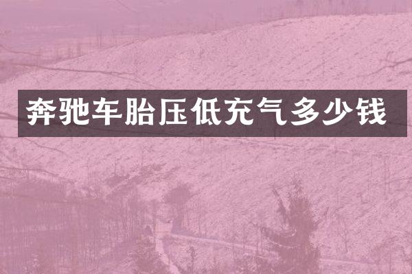 奔驰车胎压低充气多少钱