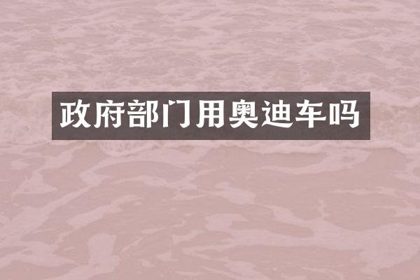 政府部门用奥迪车吗