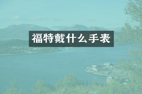 福特戴什么手表
