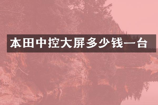 本田中控大屏多少钱一台