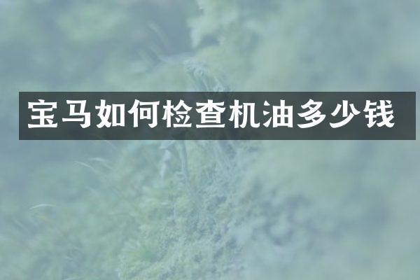宝马如何检查机油多少钱