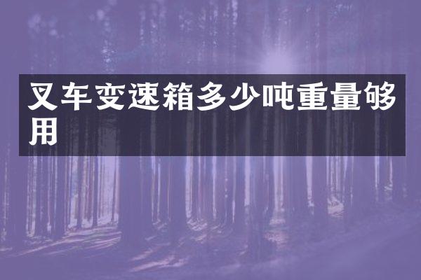 叉车变速箱多少吨重量够用