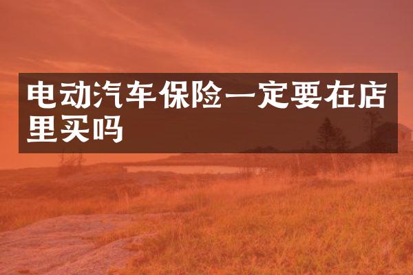 电动汽车保险一定要在店里买吗