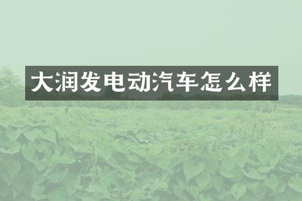 大润发电动汽车怎么样
