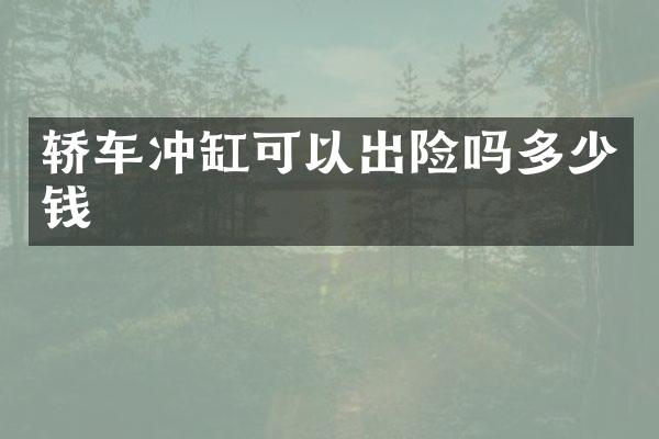 轿车冲缸可以出险吗多少钱