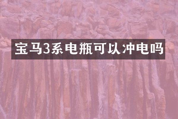 宝马3系电瓶可以冲电吗