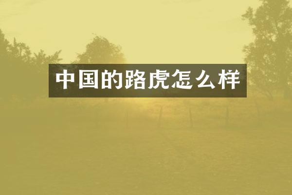 中国的路虎怎么样