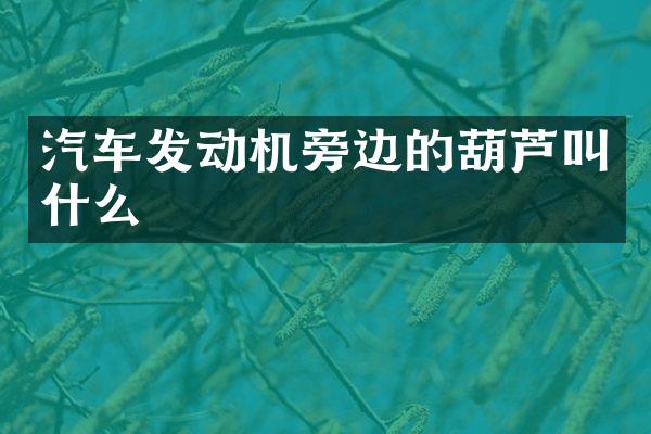 汽车发动机旁边的葫芦叫什么