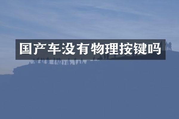 国产车没有物理按键吗