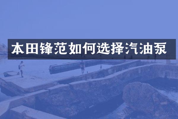 本田锋范如何选择汽油泵