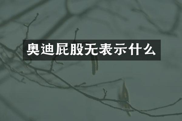 奥迪屁股无表示什么