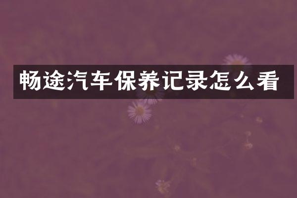 畅途汽车保养记录怎么看