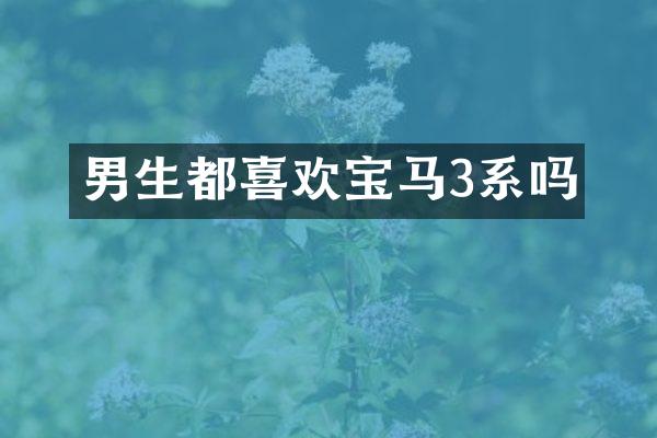男生都喜欢宝马3系吗