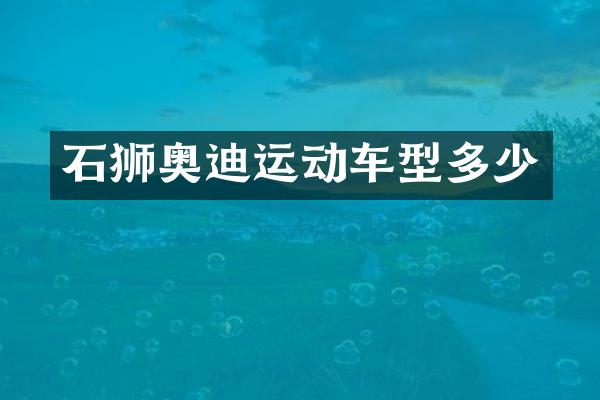 石狮奥迪运动车型多少