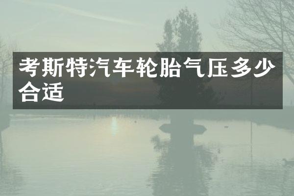 考斯特汽车轮胎气压多少合适