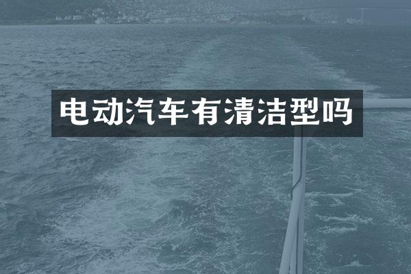 电动汽车有清洁型吗