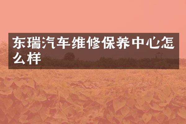 东瑞汽车维修保养中心怎么样