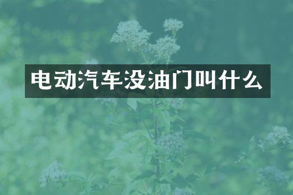 电动汽车没油门叫什么