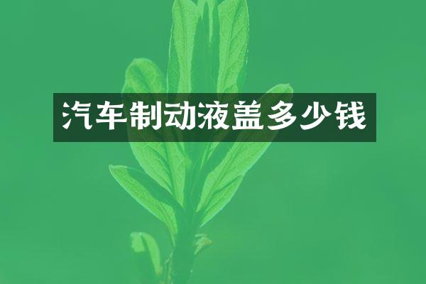 汽车制动液盖多少钱