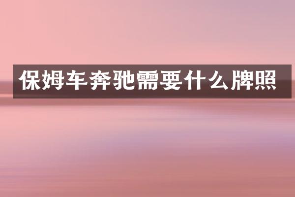 保姆车奔驰需要什么牌照