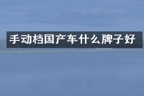 手动档国产车什么牌子好